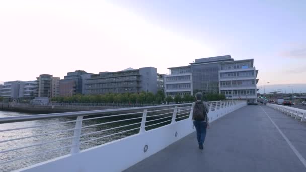 Una Mujer Caminando Sobre Puente — Vídeo de stock