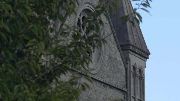 Church Facade Tree — 图库视频影像