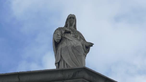 Skulptur Ovanpå Byggnad — Stockvideo