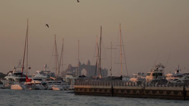 Dubai Marina Bij Zonsondergang — Stockvideo