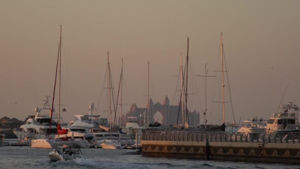 Boten Aangemeerd Dubai Marina — Stockvideo