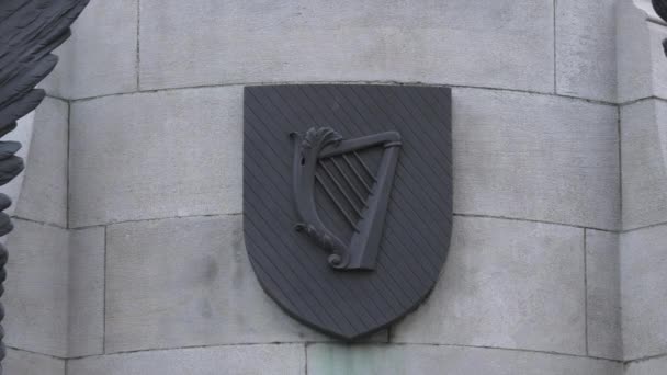 Escudo Irlanda Una Pared — Vídeos de Stock