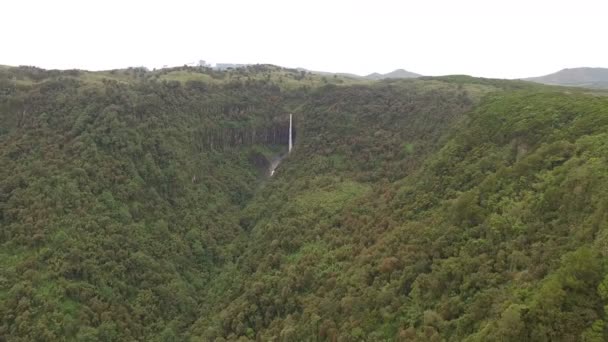 Vista Aérea Uma Cachoeira Cercada Por Floresta — Vídeo de Stock