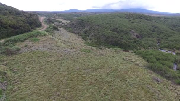 Vue Aérienne Champ Avec Des Buissons — Video