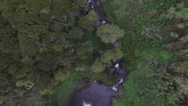 Luchtfoto Van Een Beek Een Waterval — Stockvideo