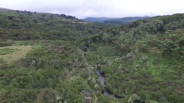河流和森林的空中景观 — 图库视频影像