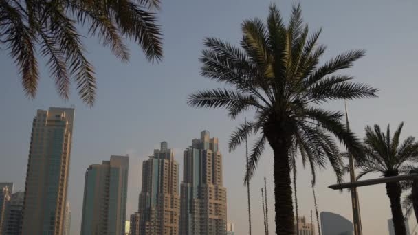 Wolkenkrabbers Palmbomen Dubai — Stockvideo