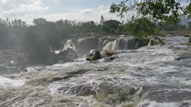 Haut Des Quatorze Chutes Arbres — Video