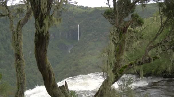 Ağaçlar Arasında Görülen Bir Şelalenin Tepesinde — Stok video