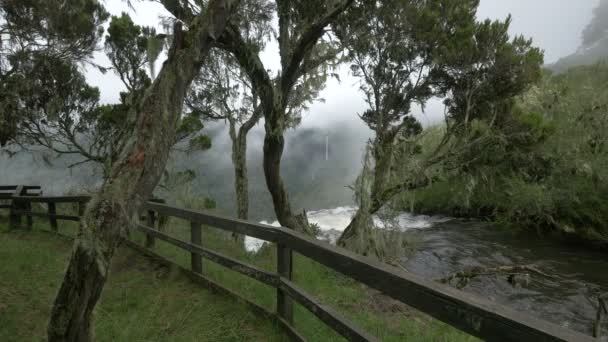 Vista Del Pequeño Río Que Fluye — Vídeo de stock