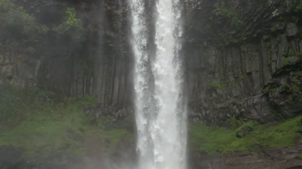 Tenký Vodopád Tekoucí Džungli — Stock video