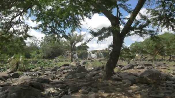 Bir Ağacın Arkasında Görülen Şelale — Stok video