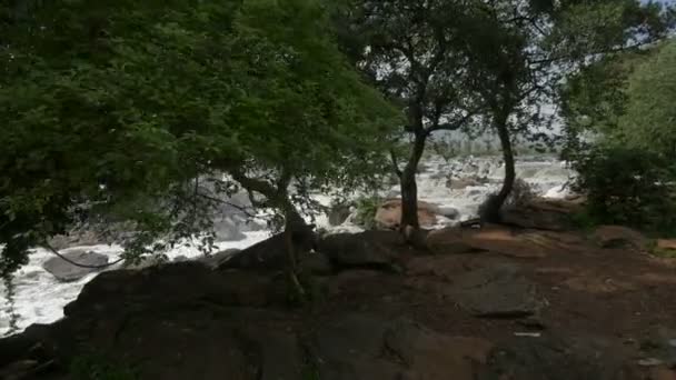 Fjorton Fallen Sett Från Stranden Kenya — Stockvideo