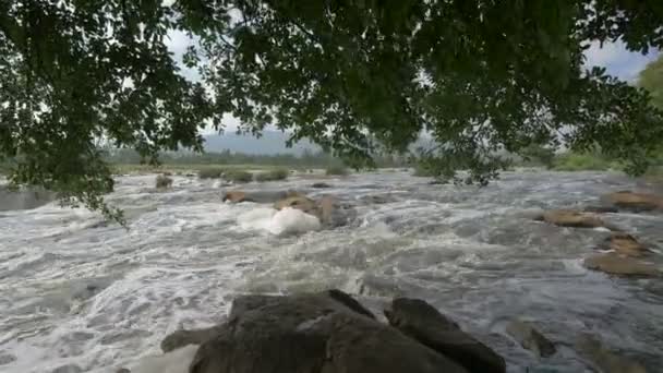 Close View River Flowing — Stockvideo