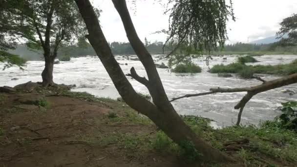 River Seen Shore — Stok video