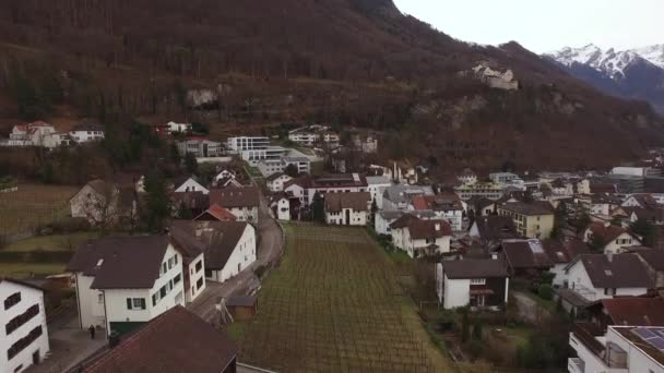Aerial View Houses Vineyard Vaduz — Vídeo de Stock