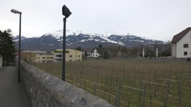 Campo Vinha Vaduz — Vídeo de Stock