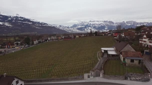 Luchtfoto Van Het Wijngaardveld Vaduz — Stockvideo
