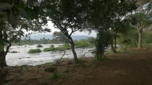 River Seen River Bank — Stok video