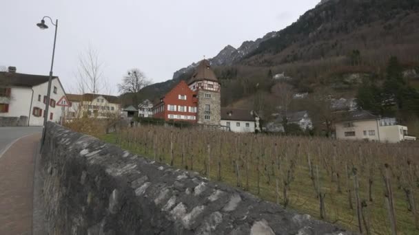 Det Röda Huset Med Vingård Vaduz — Stockvideo