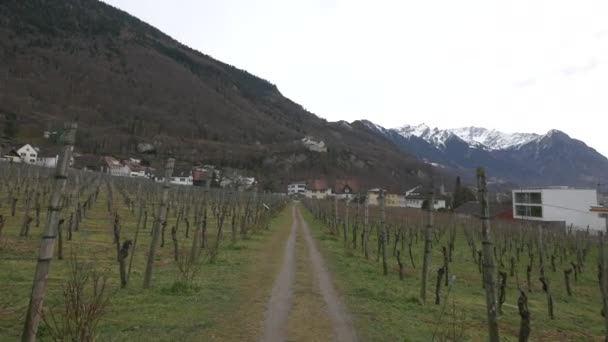 Bergen Landschap Van Een Wijngaard — Stockvideo