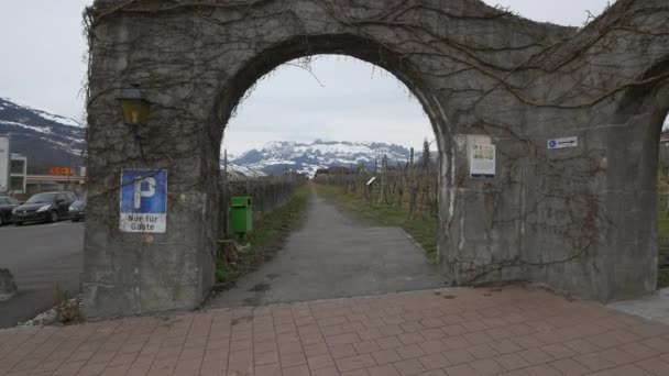 山のブドウ畑のアーチ型の門 — ストック動画