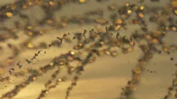 Primer Plano Los Chorros Agua — Vídeos de Stock