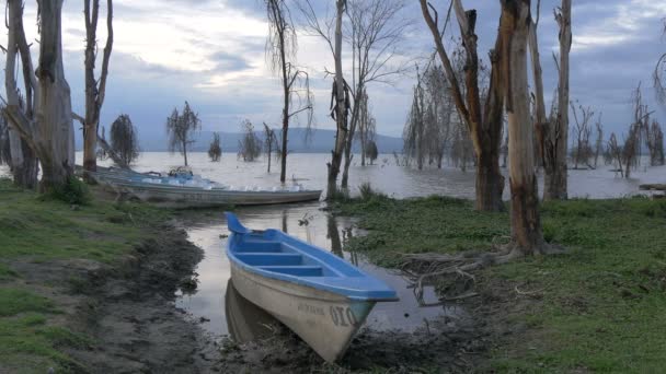 Σκάφη Αγκυροβολημένα Στην Ακτή — Αρχείο Βίντεο