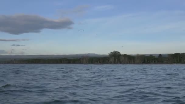 Utsikt Över Sjön Naivasha Kenya — Stockvideo