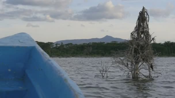 Båt Segling Sjön Naivasha Kenya — Stockvideo