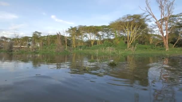 Utsikt Över Sjön Naivasha Kenya — Stockvideo