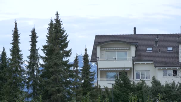 屋面阳台和冷杉树顶 — 图库视频影像