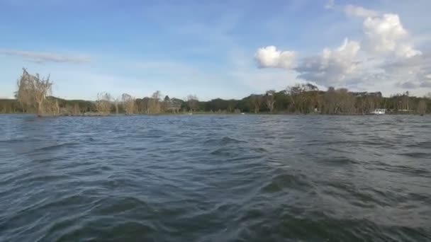 Das Ufer Des Naivasha Sees — Stockvideo