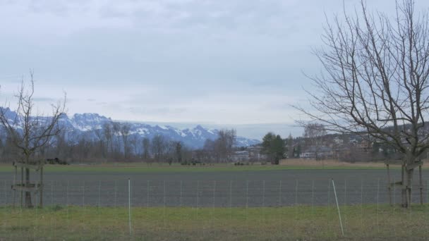 田野上的雪山 — 图库视频影像