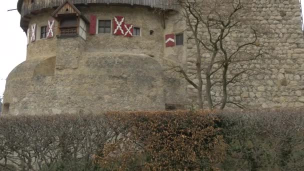 リヒテンシュタイン州バドゥスにある城塔 — ストック動画
