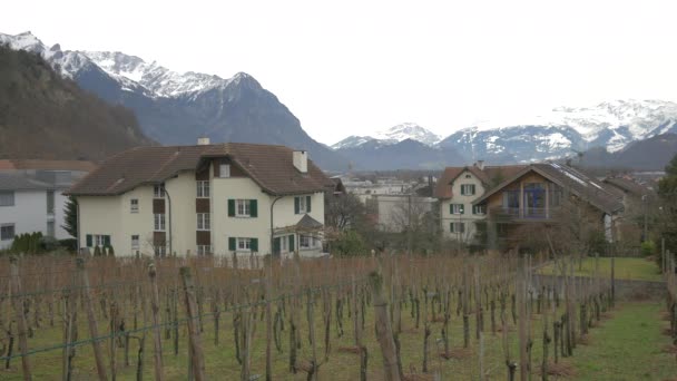 Paisagem Montanhosa Vaduz — Vídeo de Stock