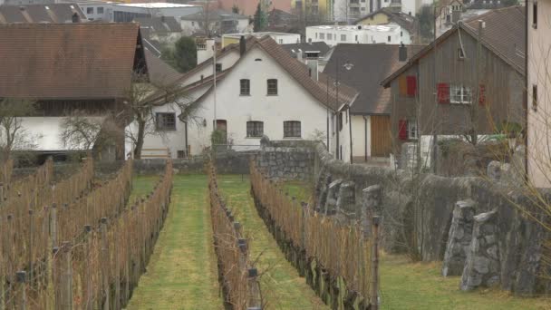 Vaduz有石墙的葡萄园 — 图库视频影像
