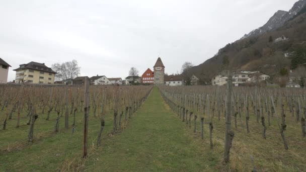 Rode Huis Aan Het Einde Van Een Wijngaard Vaduz — Stockvideo