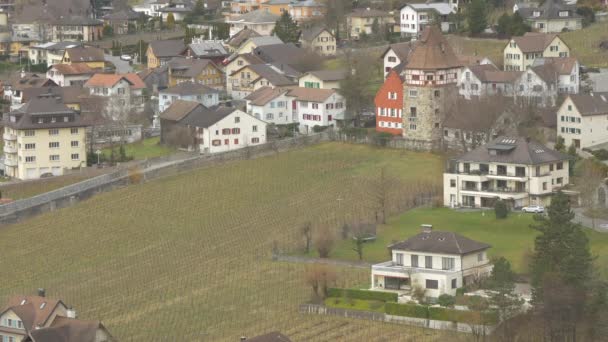 Viniční pole ve Vaduzu