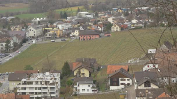 Vineyard Town Vaduz — 图库视频影像