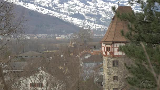 Poloviční Roubená Věž Vaduzu — Stock video