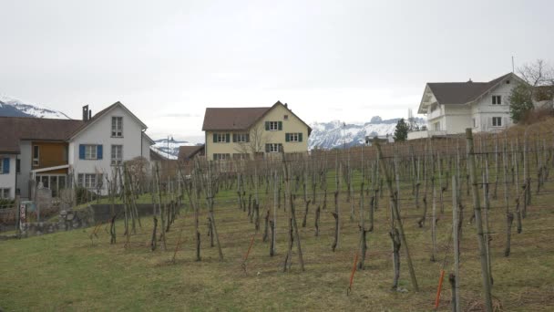 Vaduz的葡萄园在山上 — 图库视频影像