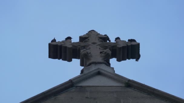 Cruz Catedral San Patricio — Vídeo de stock