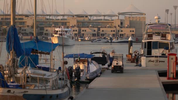 Marina Con Barche Moli Abu Dhabi — Video Stock