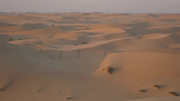 Blick Auf Die Wüstendünen — Stockvideo