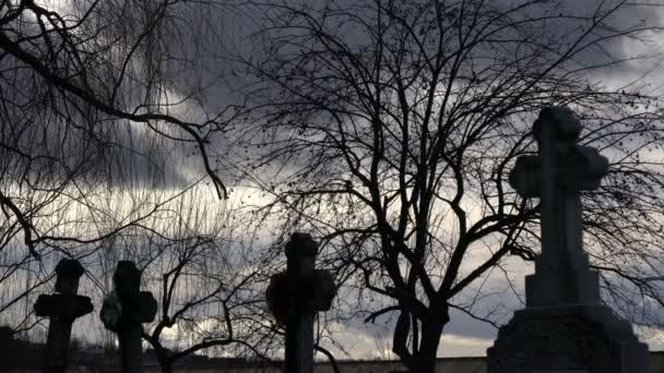 Kruisen Bomen Het Kerkhof Van Arbore — Stockvideo