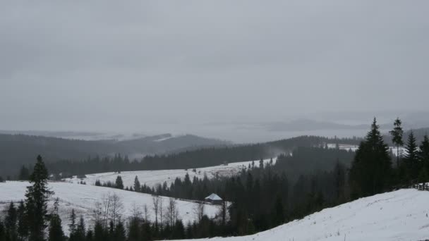 Wzgórza Zimowy Dzień — Wideo stockowe