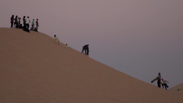 Sandboarden Een Duin Woestijn — Stockvideo