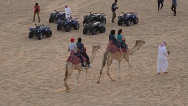 Riding Camels Desert — Stock Video