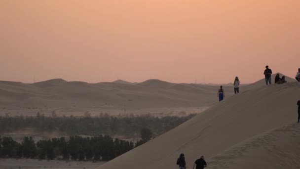 Toeristen Wandelen Duinen Woestijn — Stockvideo